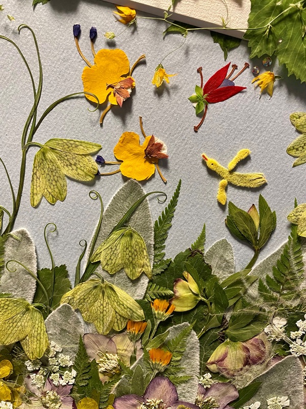 押し花作品の写真
