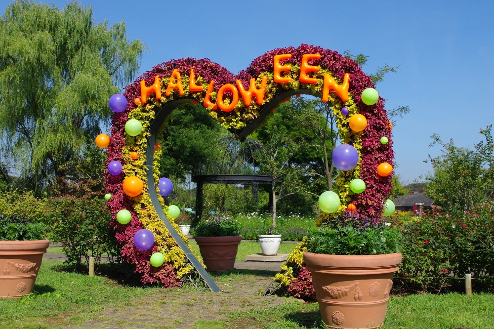 ハロウィン装飾の写真