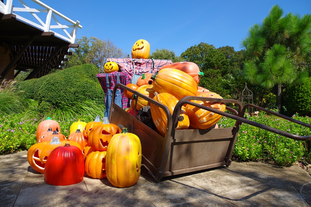 ハロウィン装飾の写真