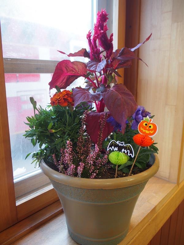 ハッピー★ハロウィン寄せ植え作り作品例