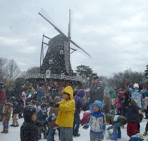 降雪の風景