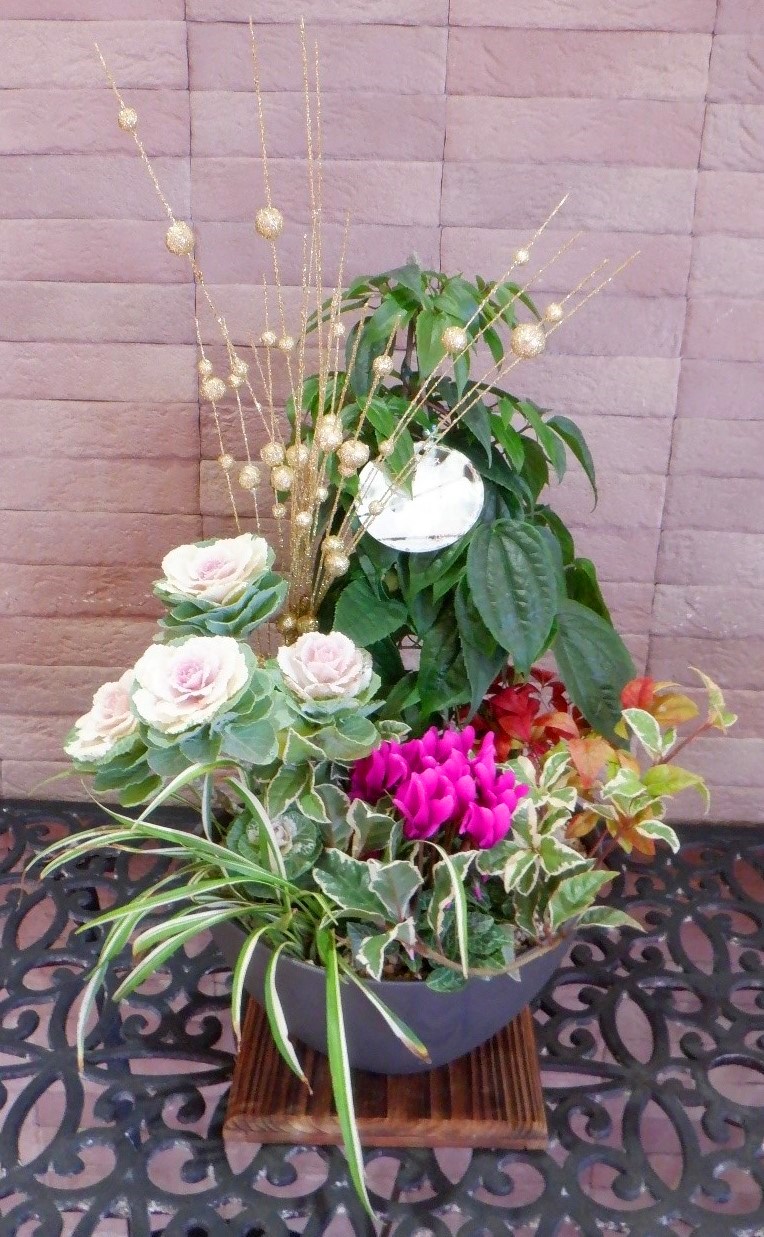 お正月寄せ植え作り作品例