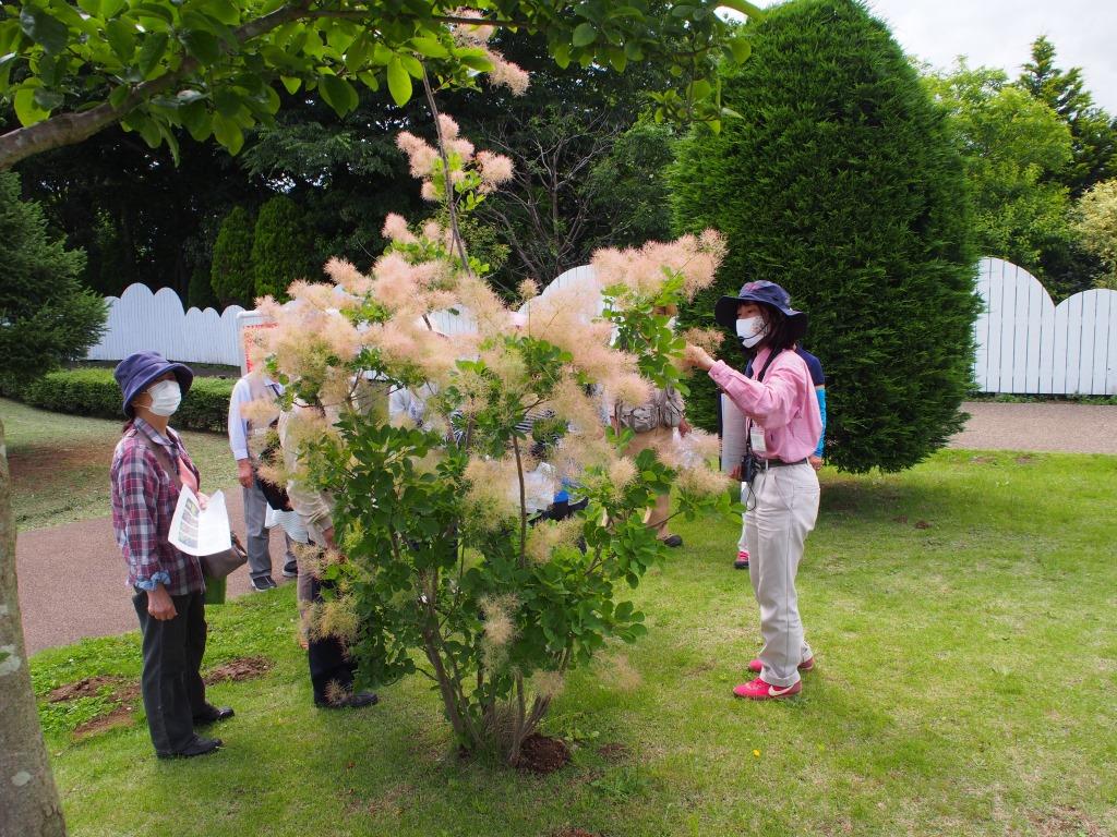 園内で見頃を迎える植物をスタッフが案内している様子