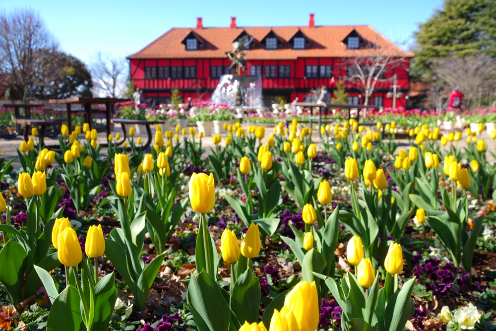 コミュニティーセンター前