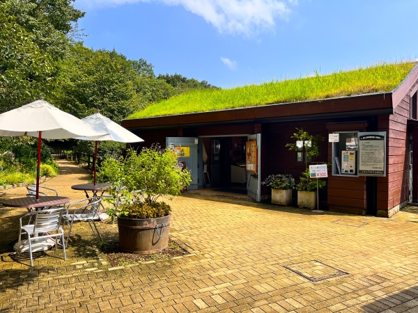 屋根が芝生になった小屋とパラソル付きテーブルが並ぶ画像