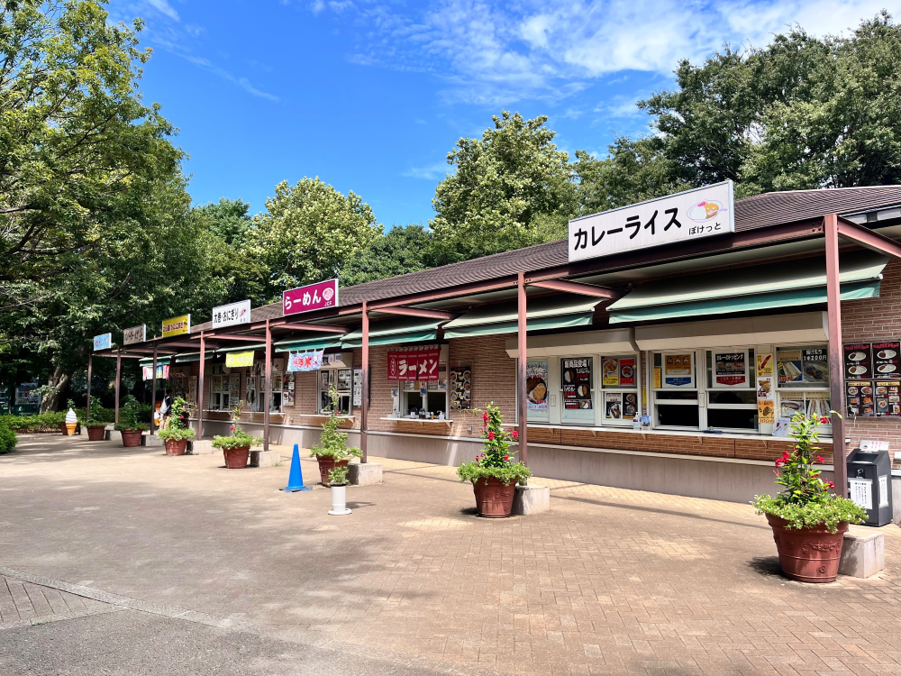 平屋の建物が建っている画像