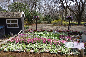 株式会社森田植物園、テーマ：アンデルセン童話「野の白鳥」