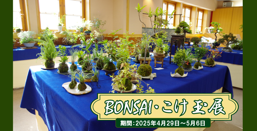 BONSAI・こけ玉展