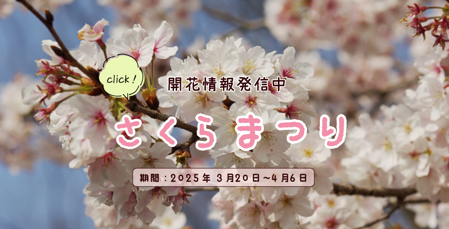 さくらまつり