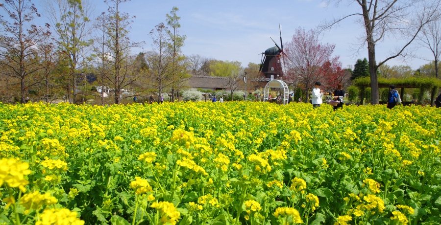 ふなばしアンデルセン公園