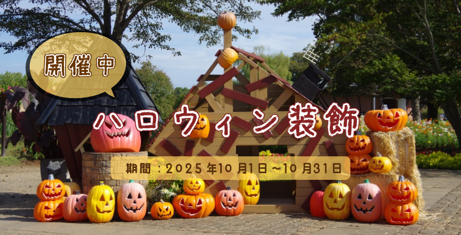 ハロウィン