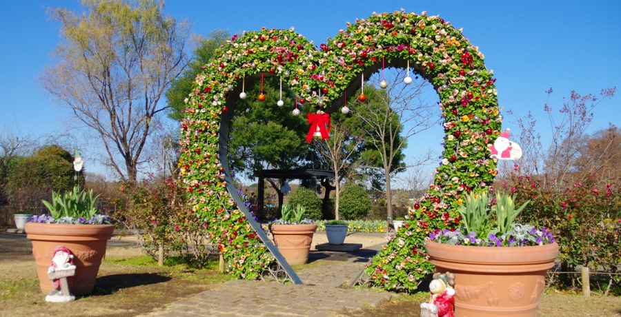 ハートのトピアリー