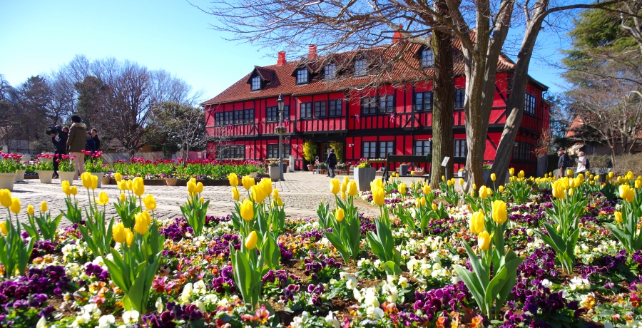 コミュニティーセンター前