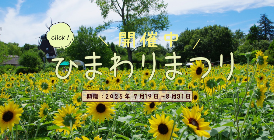 ひまわりまつり