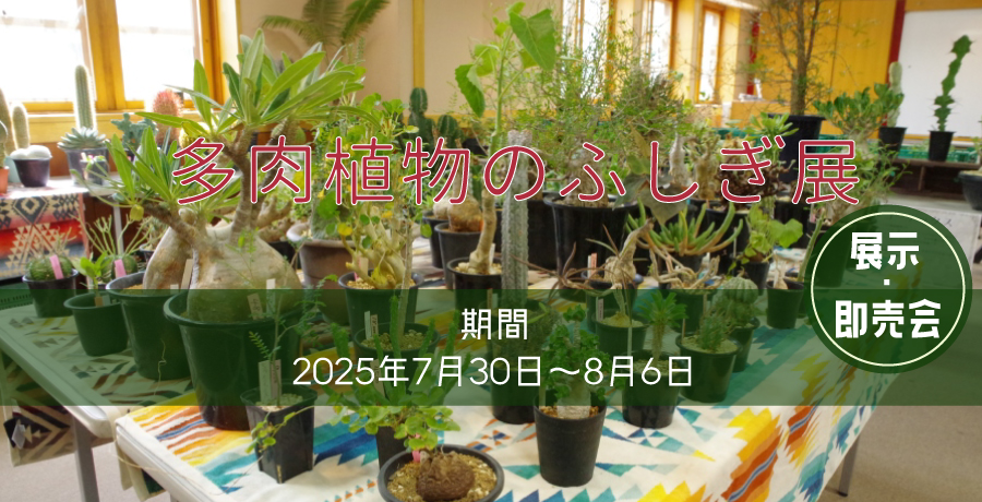 多肉植物のふしぎ展・即売会