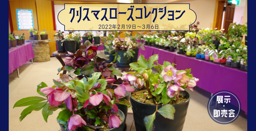 ふなばしアンデルセン公園