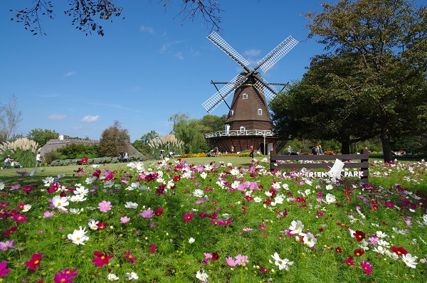 イベント情報 21年11月 ふなばしアンデルセン公園 イベント情報 21年11月 ふなばしアンデルセン公園