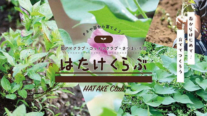 HATAKE Club
