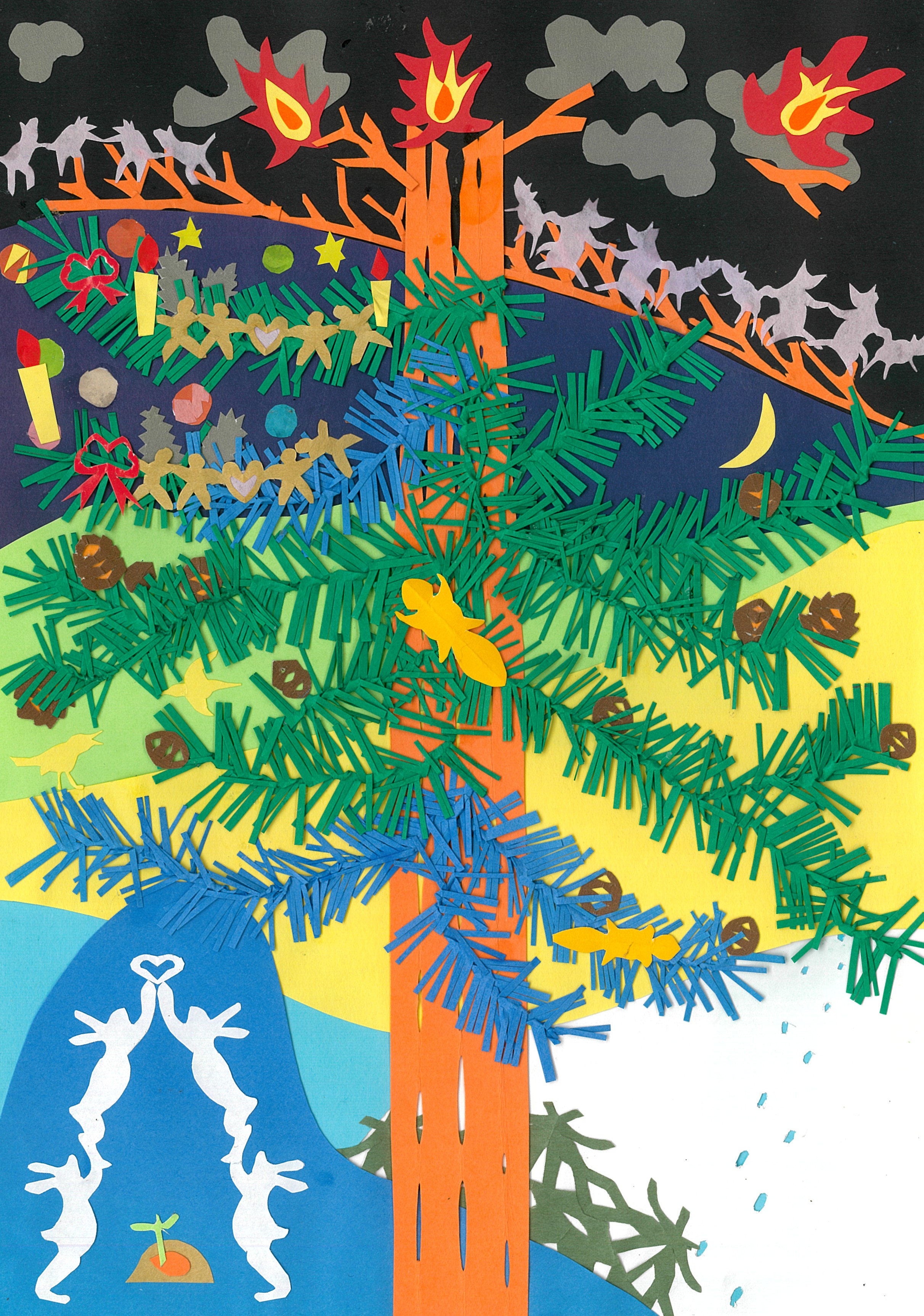 「もみの木」の一生