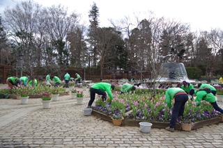 花と緑のボランティア