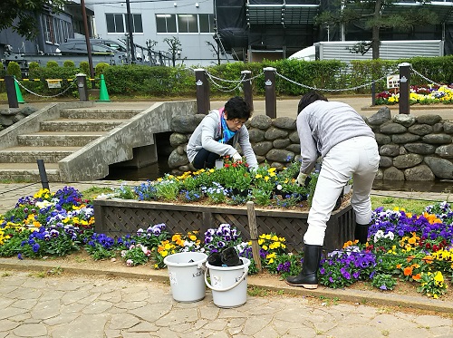 女性２人が花壇の花の手入れをしている画像